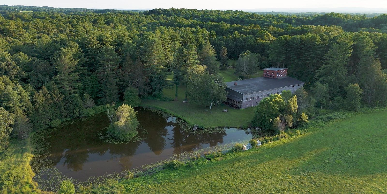 Field-grown trees at Evermoore Acres