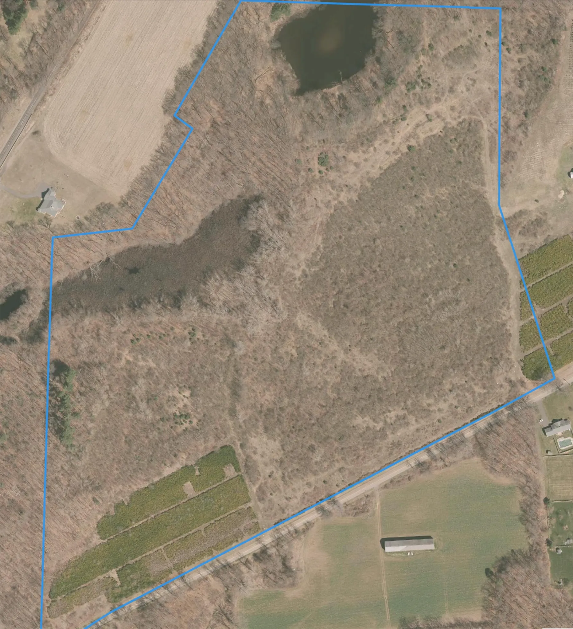 Native species in natural setting