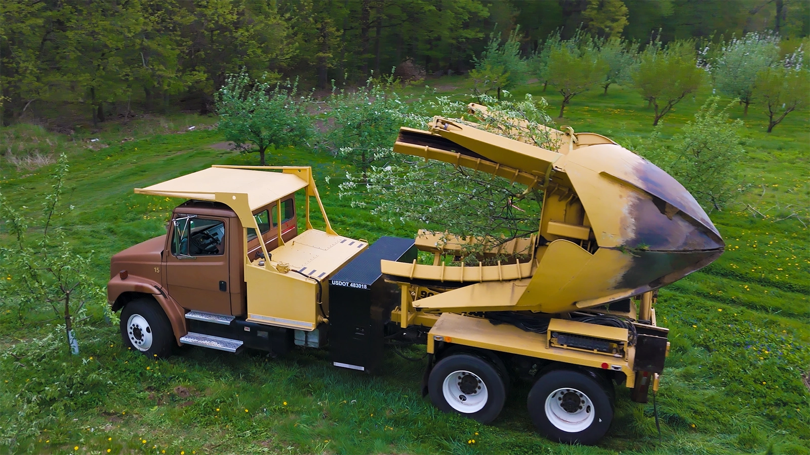 Mature tree being relocated