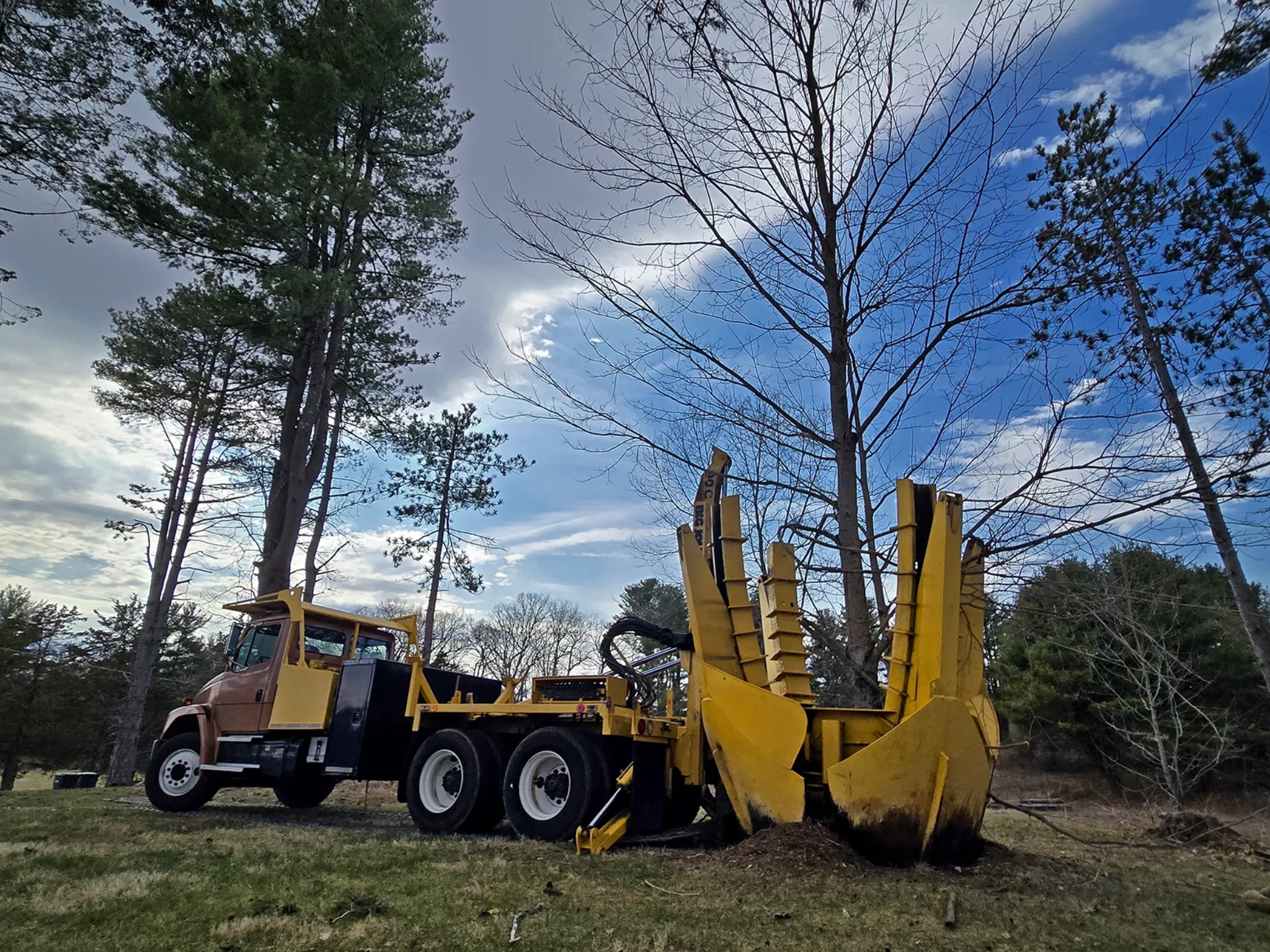 Beautiful residential landscape with mature trees