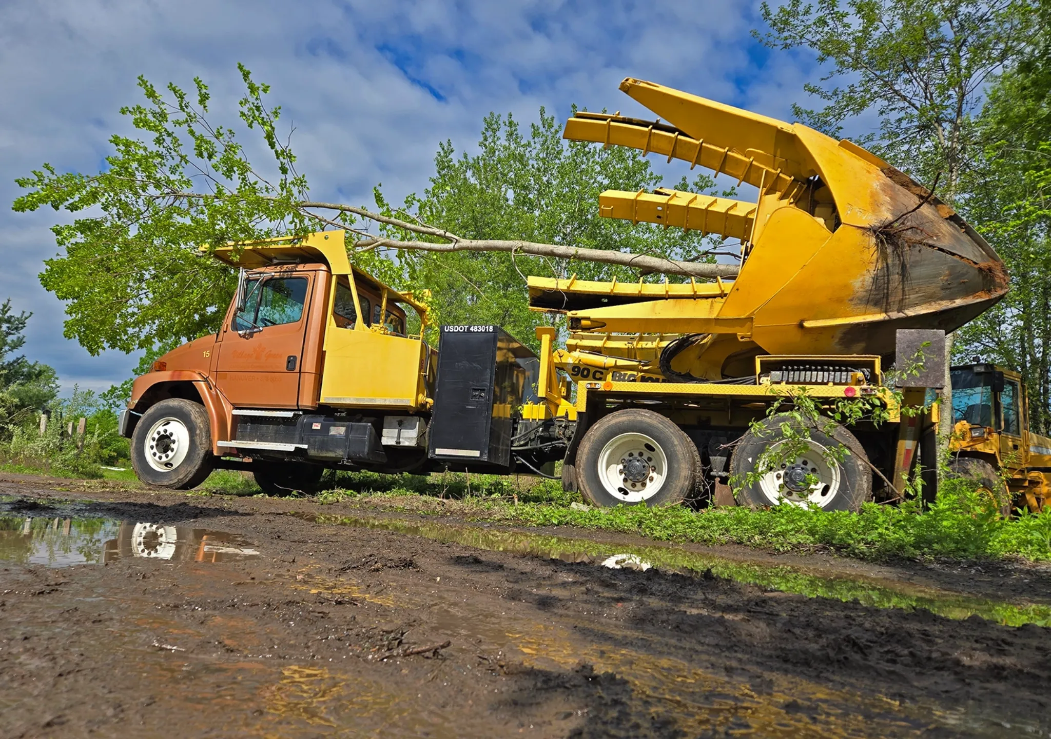Mature trees installed on a residential property