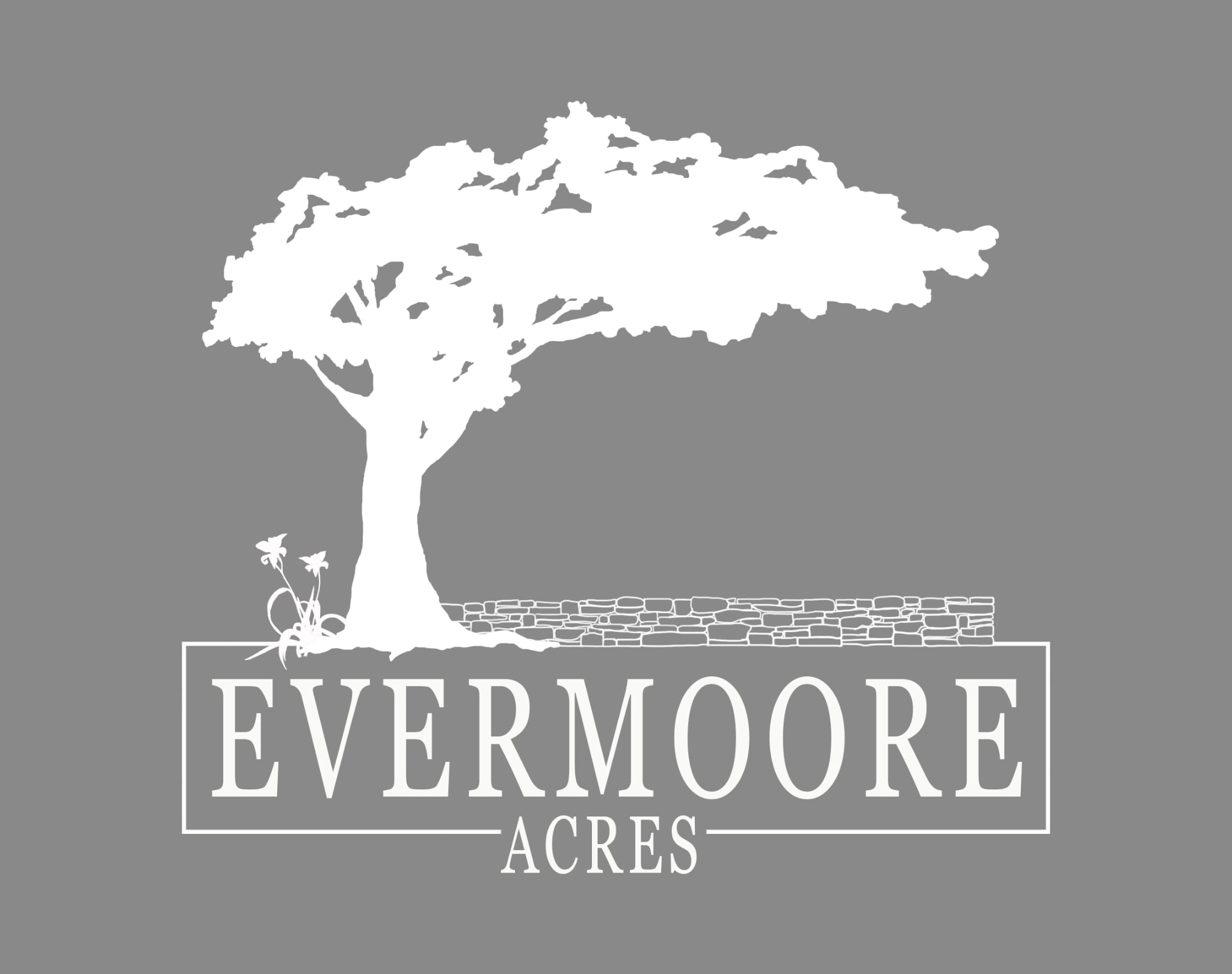 Mature trees at Evermoore Acres preserve